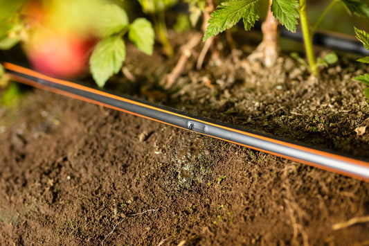 black 5/8 inch drip tape with orange stripes with 12 inch emitter spacing for drip irrigation
