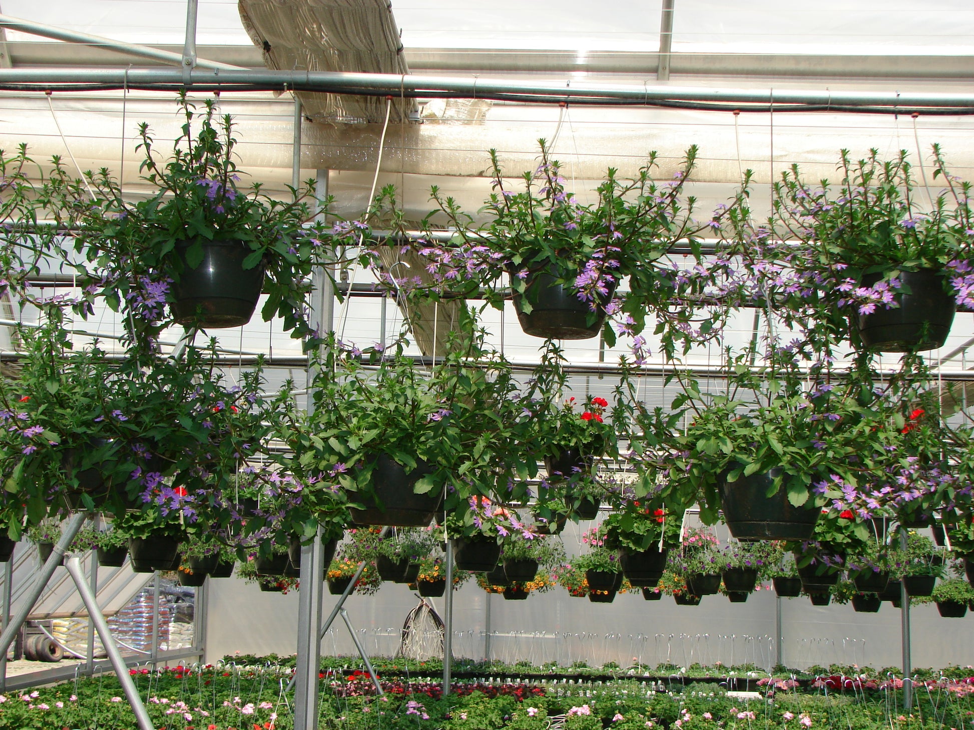 assemblies for hanging basket irrigation
