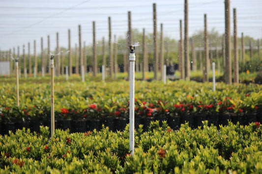 upright senninger mini-wobbler sprinkler for irrigation system