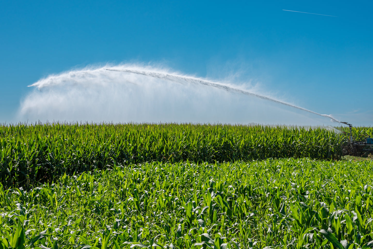 big gun irrigation