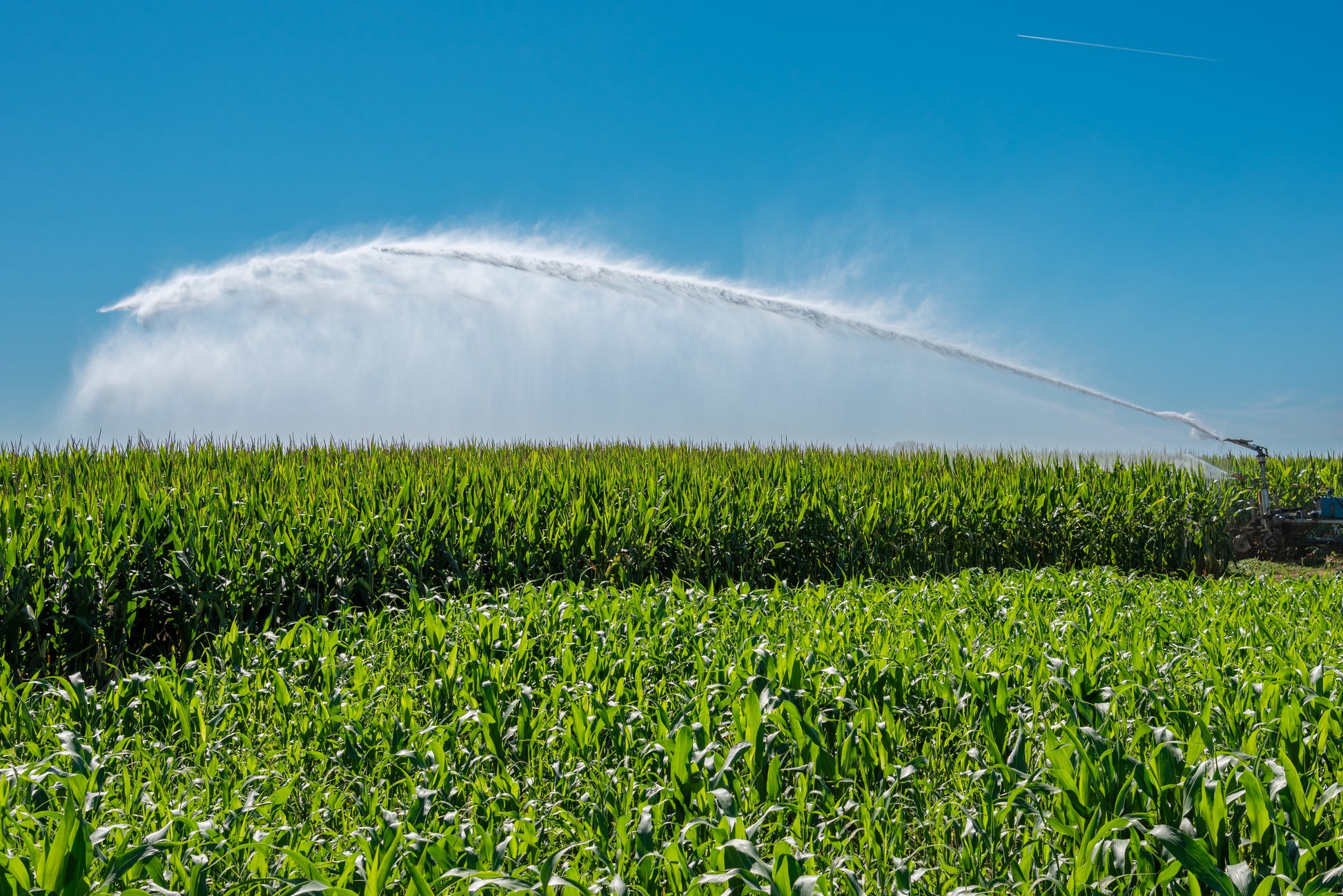 big gun irrigation