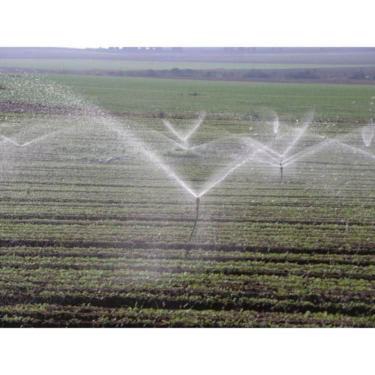 netafim meganet rotating sprinkler for overhead irrigation system