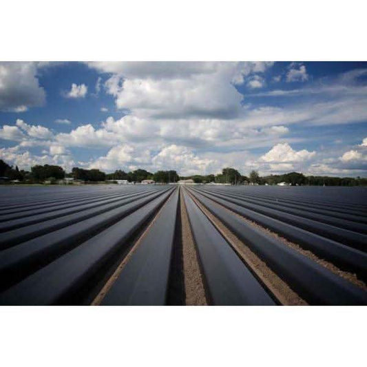 black plastic row covers for crop frost protection and weed barrier