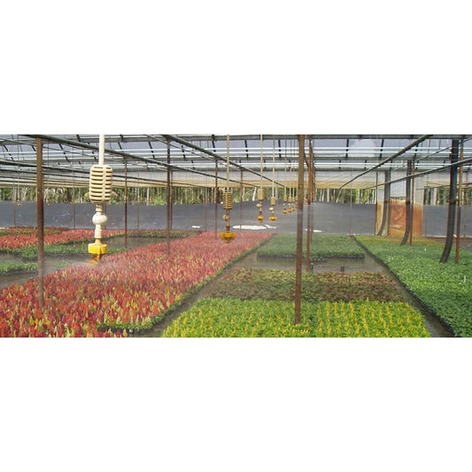 a large greenhouse filled with lots of plants and irrigation sprinklers