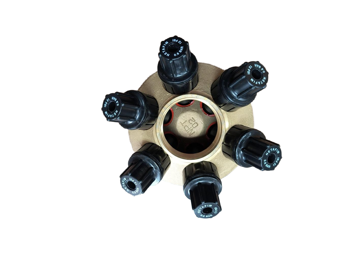 NETAFIM 2 INCH BRASS 6 SPRING 12 PSI PRESSURE REGULATOR