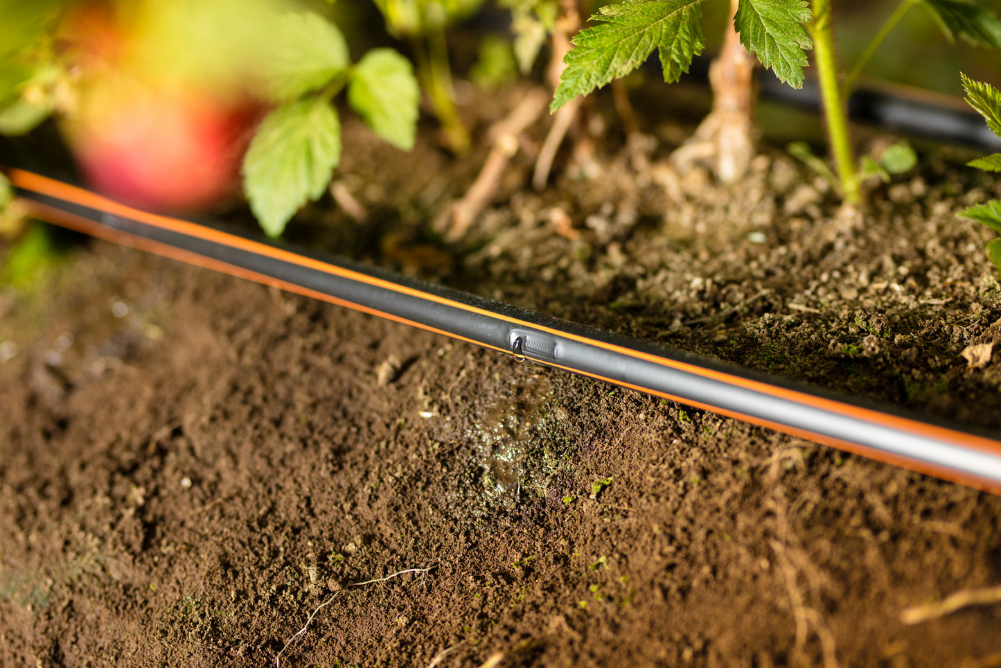 drip tape for irrigation with an orange stripe