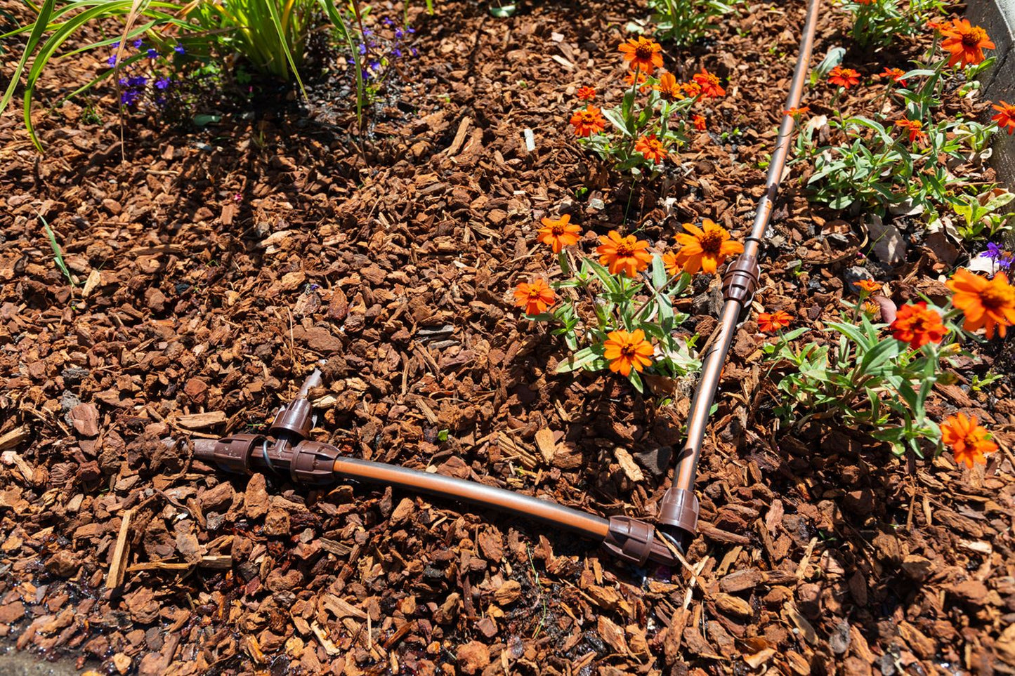 a garden tool laying on the ground next to flowers