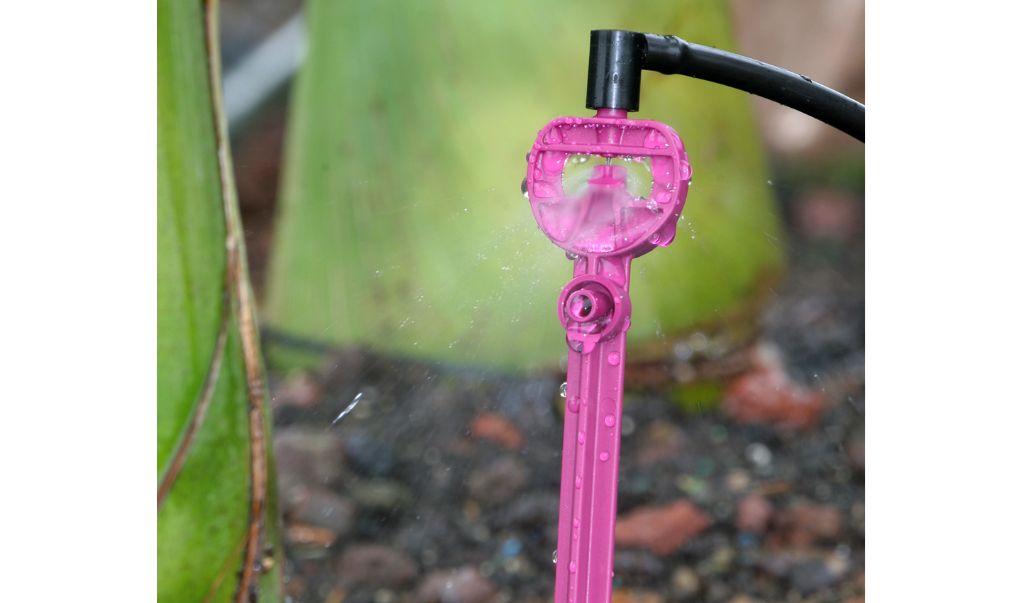 a pink water hose attached to a green plant